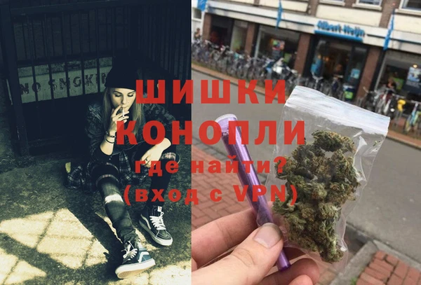дмт Краснослободск