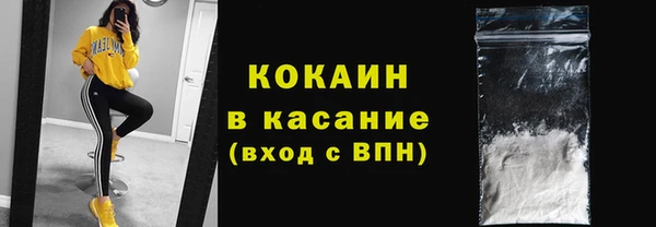 сатива Краснотурьинск