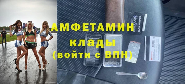 дмт Краснослободск