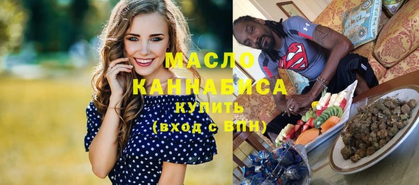 дмт Краснослободск