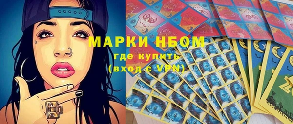 дмт Краснослободск