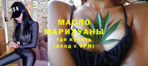 дмт Краснослободск
