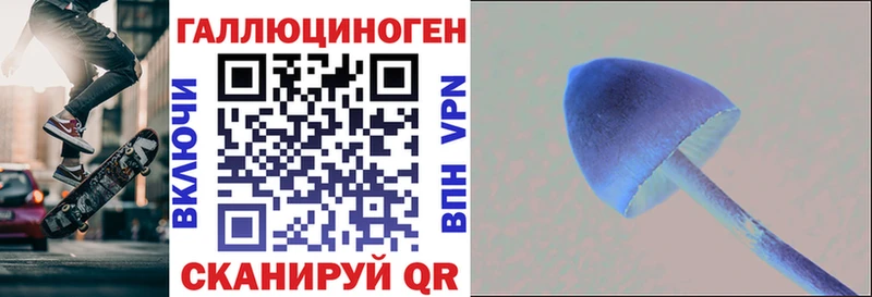 Псилоцибиновые грибы Psilocybine cubensis Таганрог