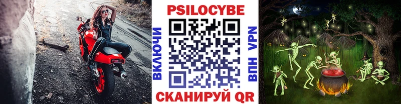 Галлюциногенные грибы мицелий  Купить закладки  Таганрог 